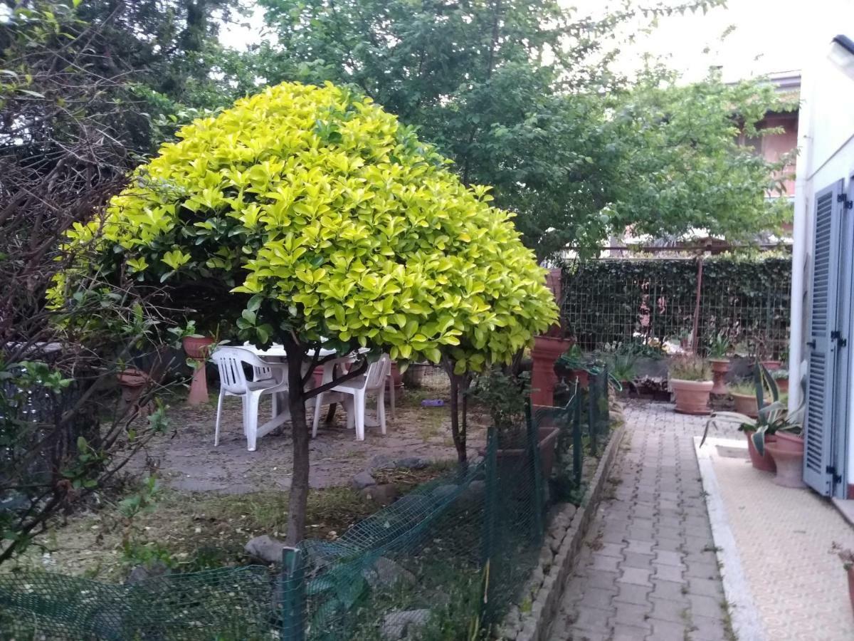 Villetta Stella Cecina  Exterior photo